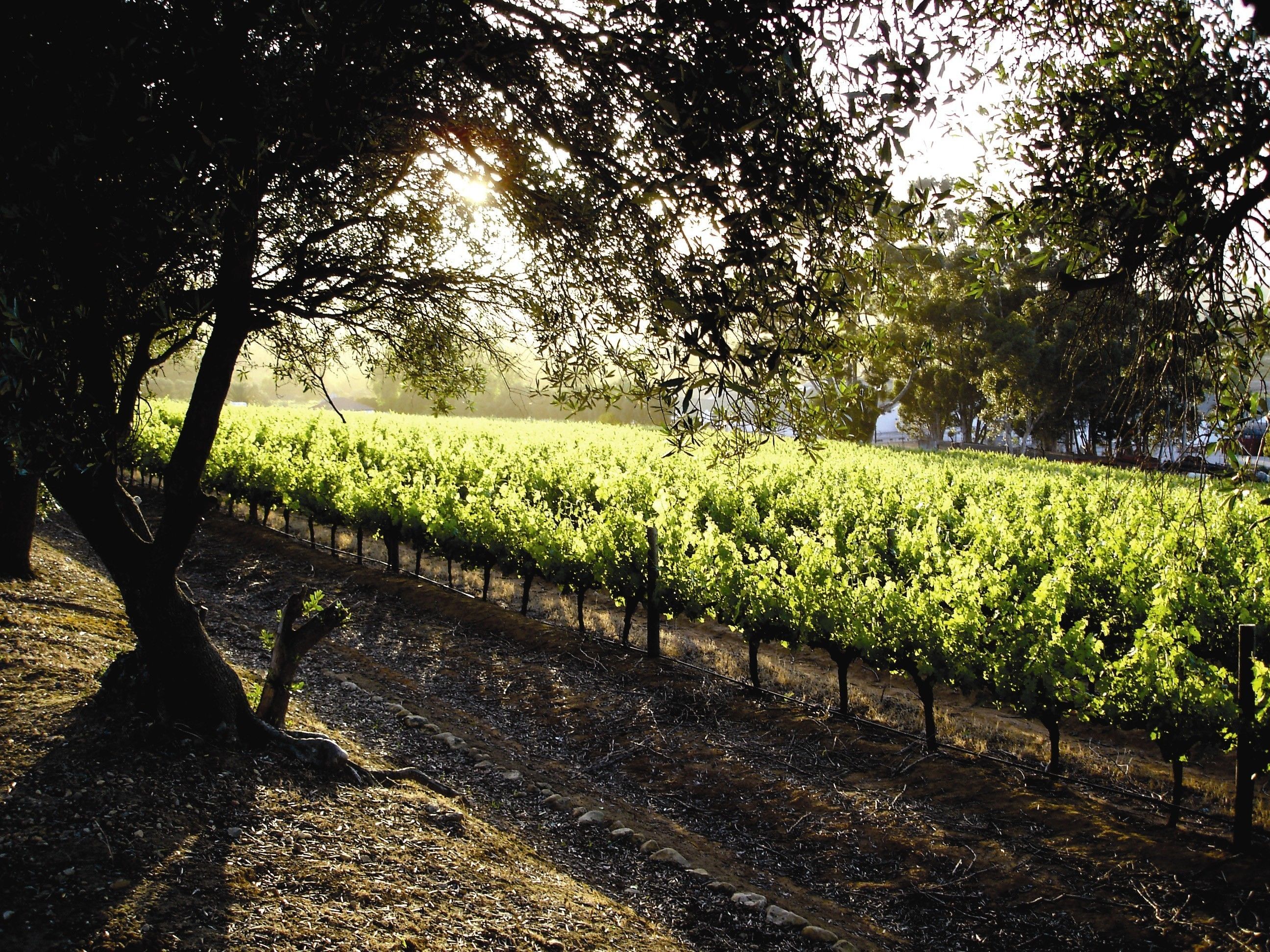 The Devon Valley Hotel 4*