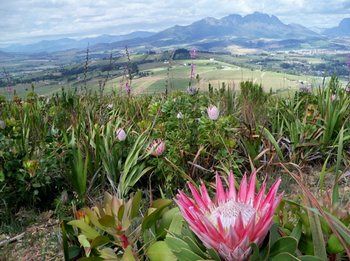 The Devon Valley Hotel 4*