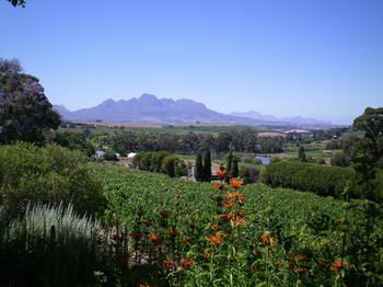 The Devon Valley Hotel 4*