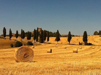 Hotel Panoramic Montepulciano 3*