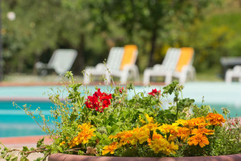 Hotel Panoramic Montepulciano 3*