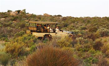 Bushmans Kloof Wilderness Reserve 0*