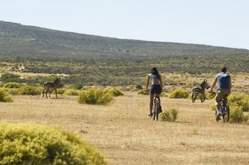 Bushmans Kloof Wilderness Reserve 0*
