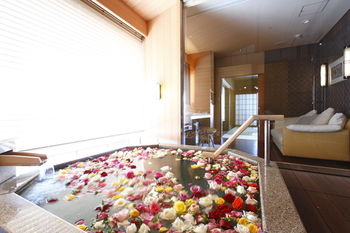 Hotel Wakamizu 3*