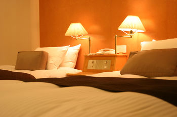 Hotel Wakamizu 3*