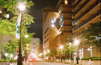 Hotel Wakamizu 3*