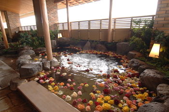 Hotel Wakamizu 3*
