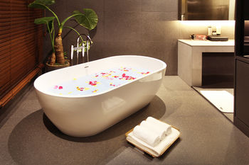 Vine Hotel 3*