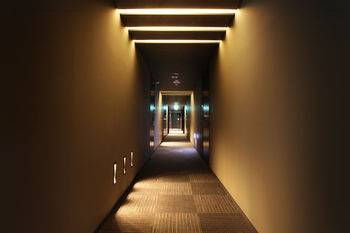 Vine Hotel 3*