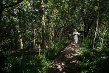 Summerfields Rose Retreat & Spa 0*