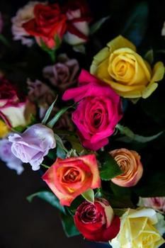Summerfields Rose Retreat & Spa 0*