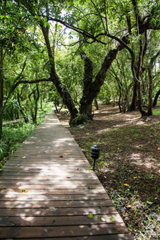 Summerfields Rose Retreat & Spa 0*