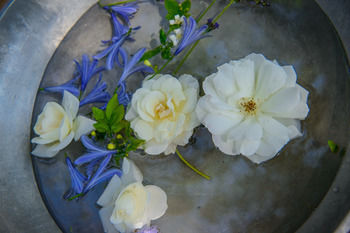 Summerfields Rose Retreat & Spa 0*