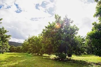 Summerfields Rose Retreat & Spa 0*