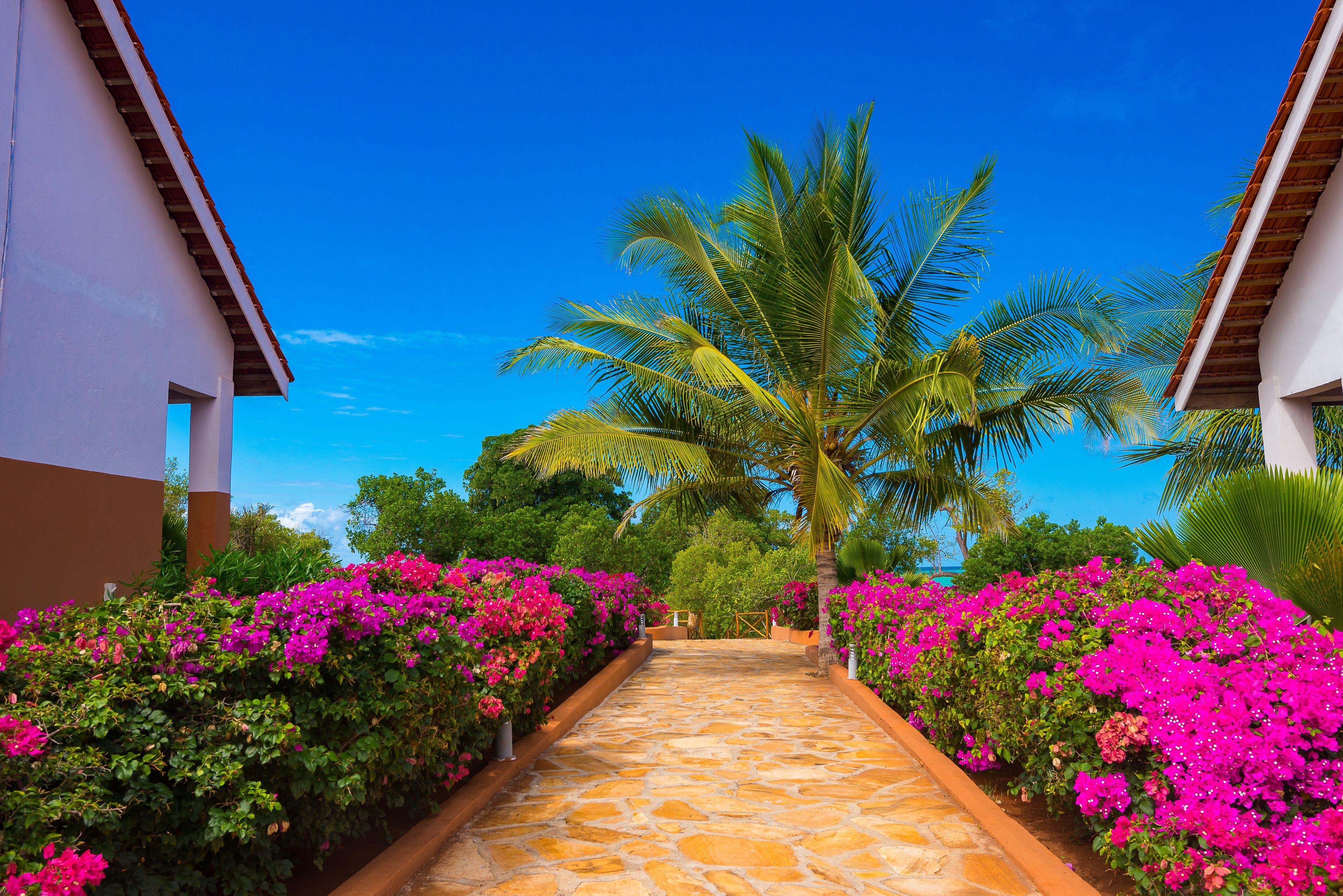 Azao Resort & Spa 4*