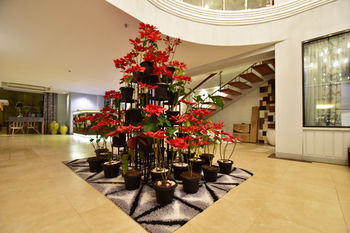 Almont City Hotel 3*
