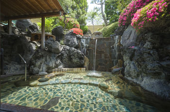 Fujisan Onsen Bessho SASA 4*