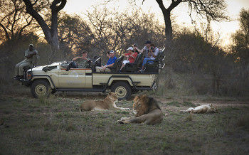 Kapama Southern Camp 0*