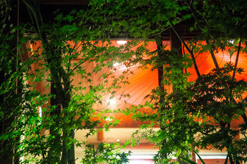 Ryokan Reimei 3*