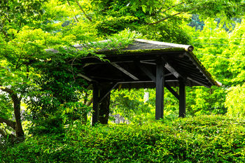 Ryokan Reimei 3*