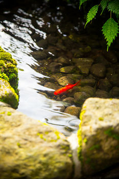 Ryokan Reimei 3*