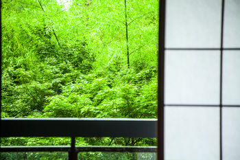Ryokan Reimei 3*