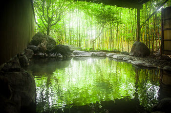 Ryokan Reimei 3*
