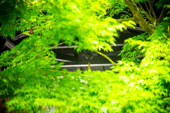 Ryokan Reimei 3*