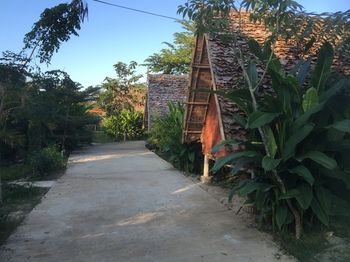Pai Loess Resort 2*