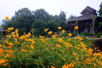 Pai Loess Resort 2*