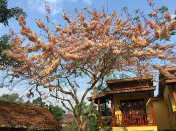 Pai Loess Resort 2*