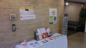 Hotel Select Inn Hamamatsu Ekimae 3*