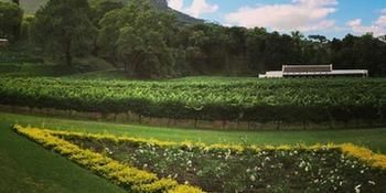 MolenVliet Vineyards 5*
