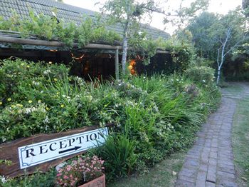 Tsitsikhaya Lodge 4*
