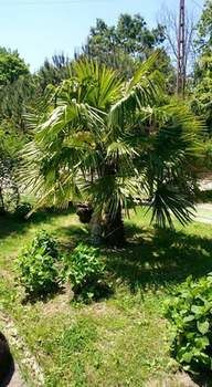 Kaltur Boutique Otel 3*