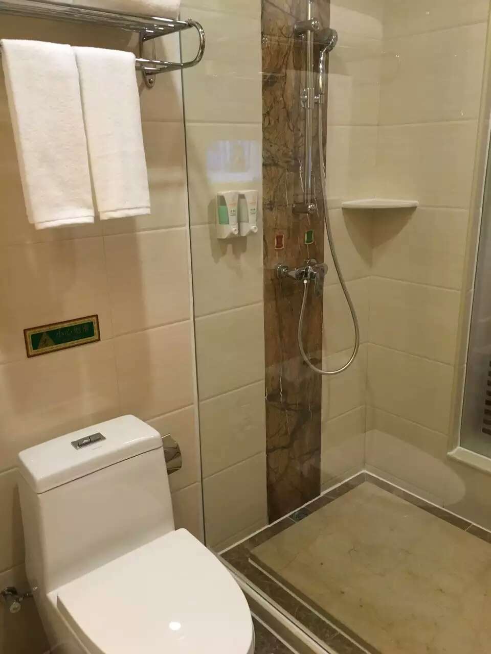 Vienna International Hotel (Foshan Zumiao Zhangcha Branch) 3*