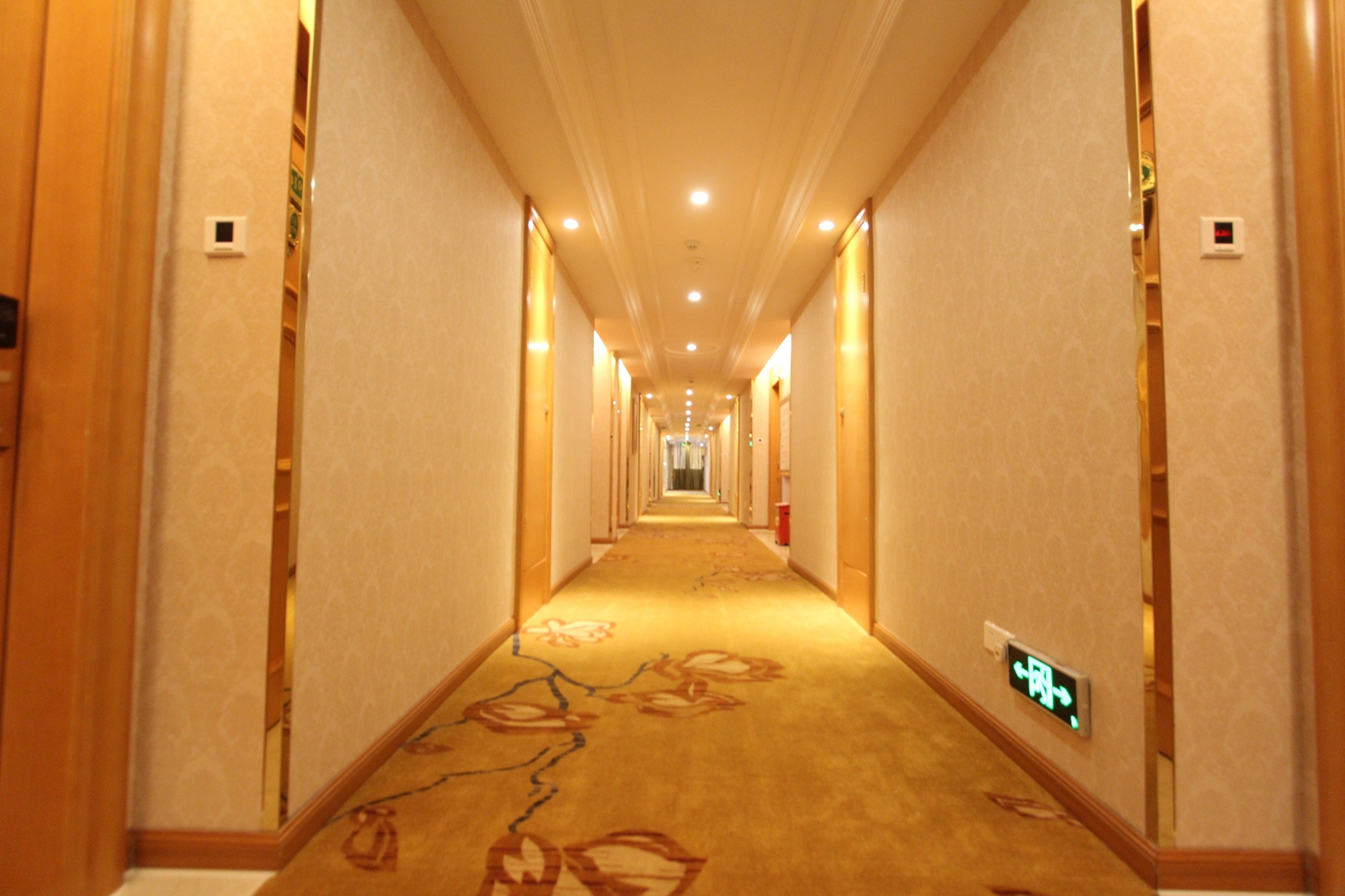 Vienna International Hotel (Foshan Zumiao Zhangcha Branch) 3*