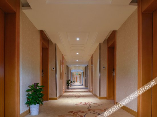 Vienna International Hotel (Foshan Zumiao Zhangcha Branch) 3*