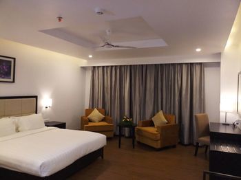 Triguna Clarks Inn 3*