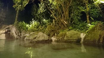 Kurokawa Onsen Ryokan Ichinoi 3*