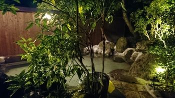 Kurokawa Onsen Ryokan Ichinoi 3*