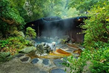 Kurokawa Onsen Ryokan Ichinoi 3*