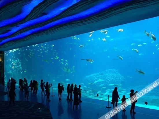 Zhuhaiye Mr. Glamour Hotel (Changlong Tourism Resort Branch)(?????????(??????????)) 0*