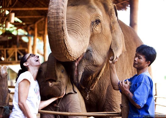 Туры в Anantara Golden Triangle Elephant Camp & Resort