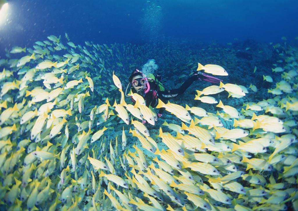 Туры в Koh Tao Montra Resort