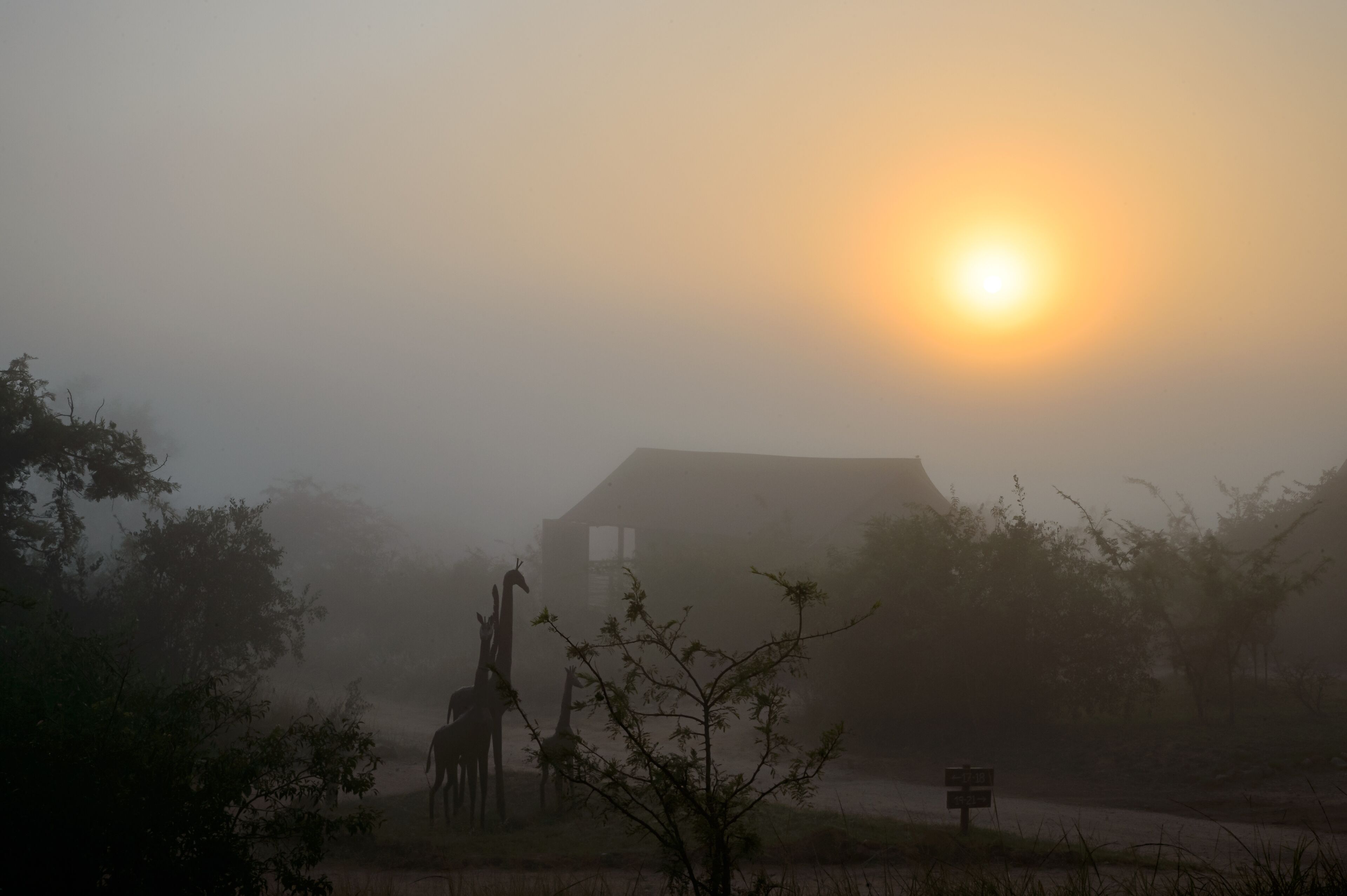 Ndhula Luxury Tented Lodge 4*