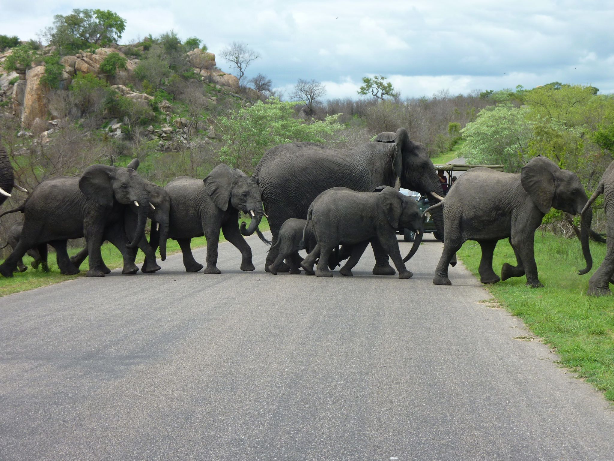 Ndhula Luxury Tented Lodge 4*