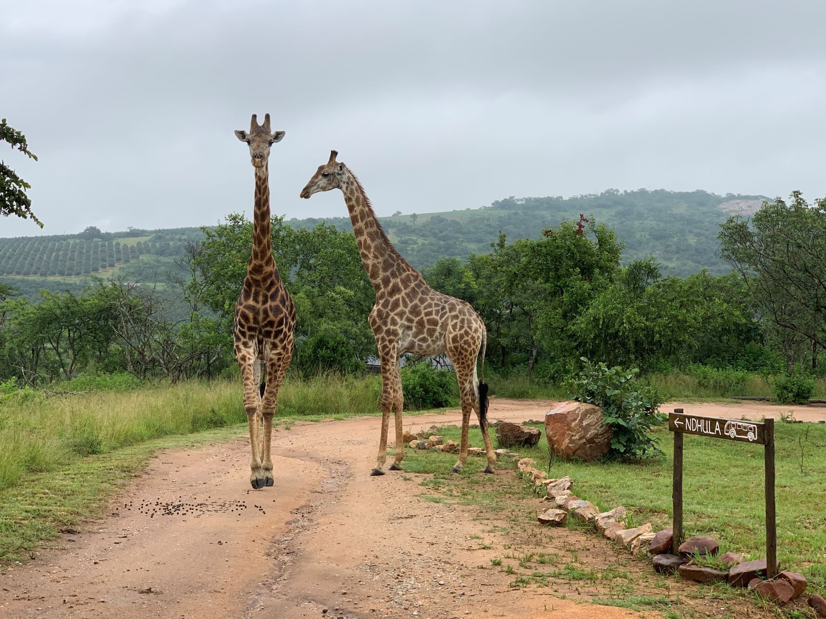 Ndhula Luxury Tented Lodge 4*