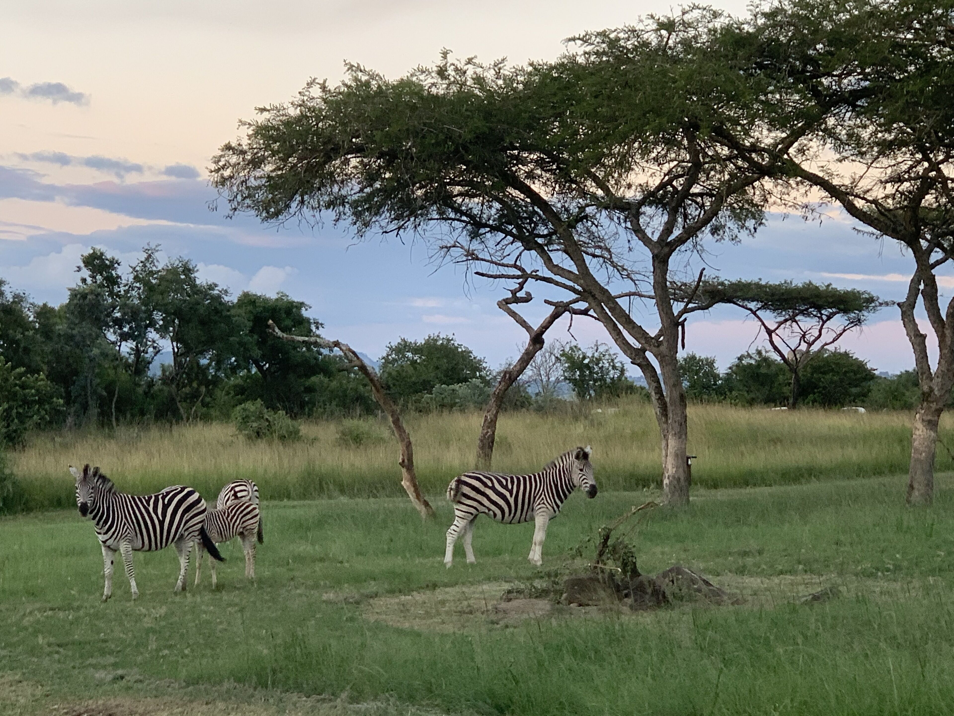 Ndhula Luxury Tented Lodge 4*