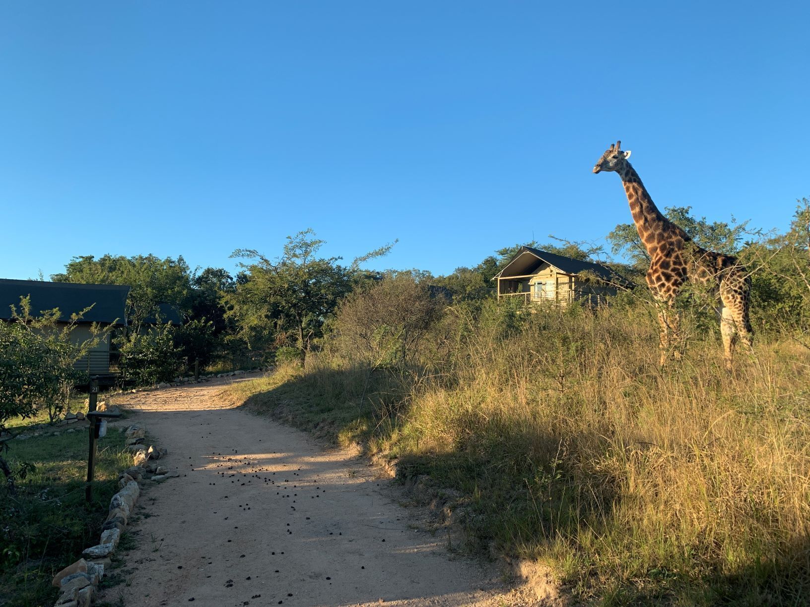 Ndhula Luxury Tented Lodge 4*